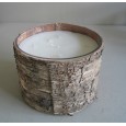 birch bark candle